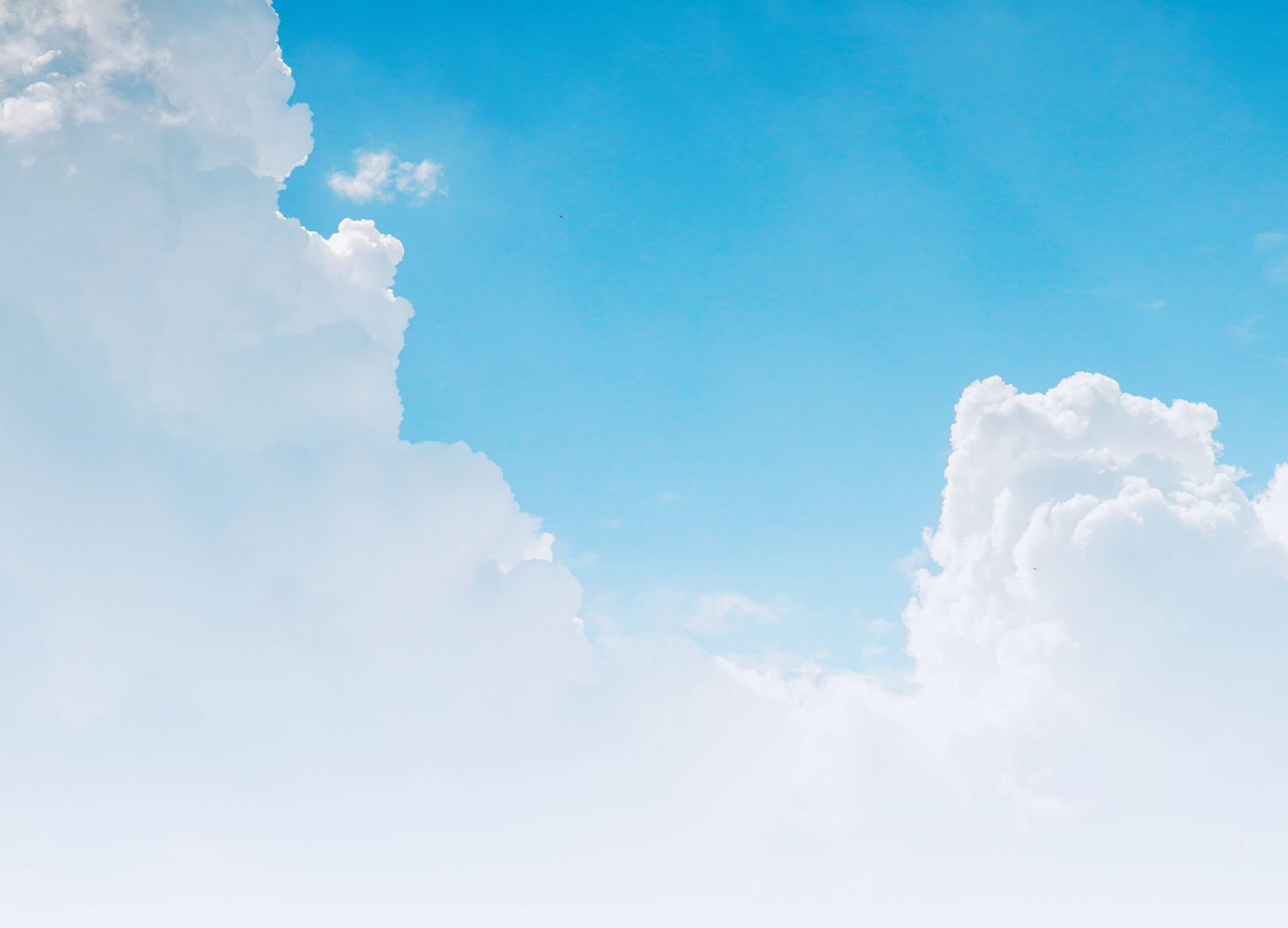 footer-bg-scaled